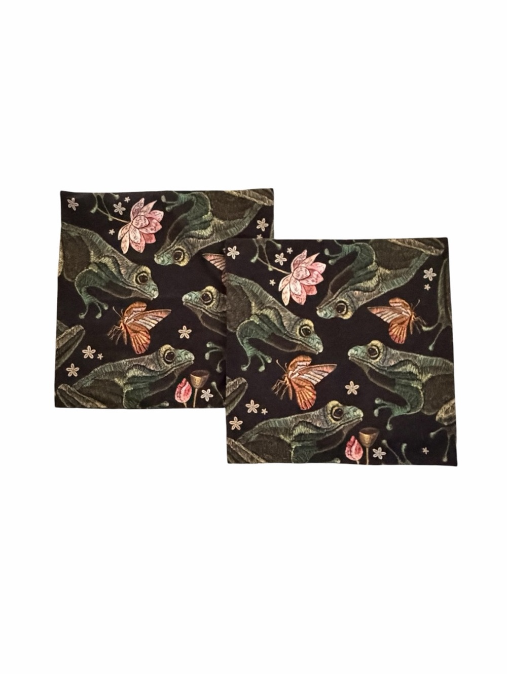 Pair of dark whimsy frog and butterfly throw pillow covers